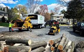 Best Firewood Processing and Delivery  in Cohoes, NY